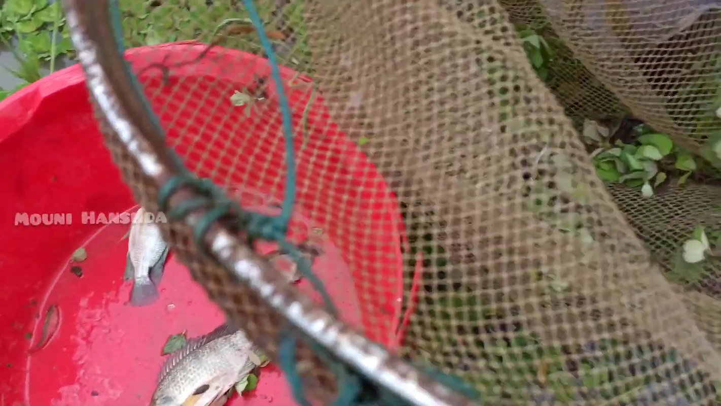 Amazing Village Lady Hand Fishing-da