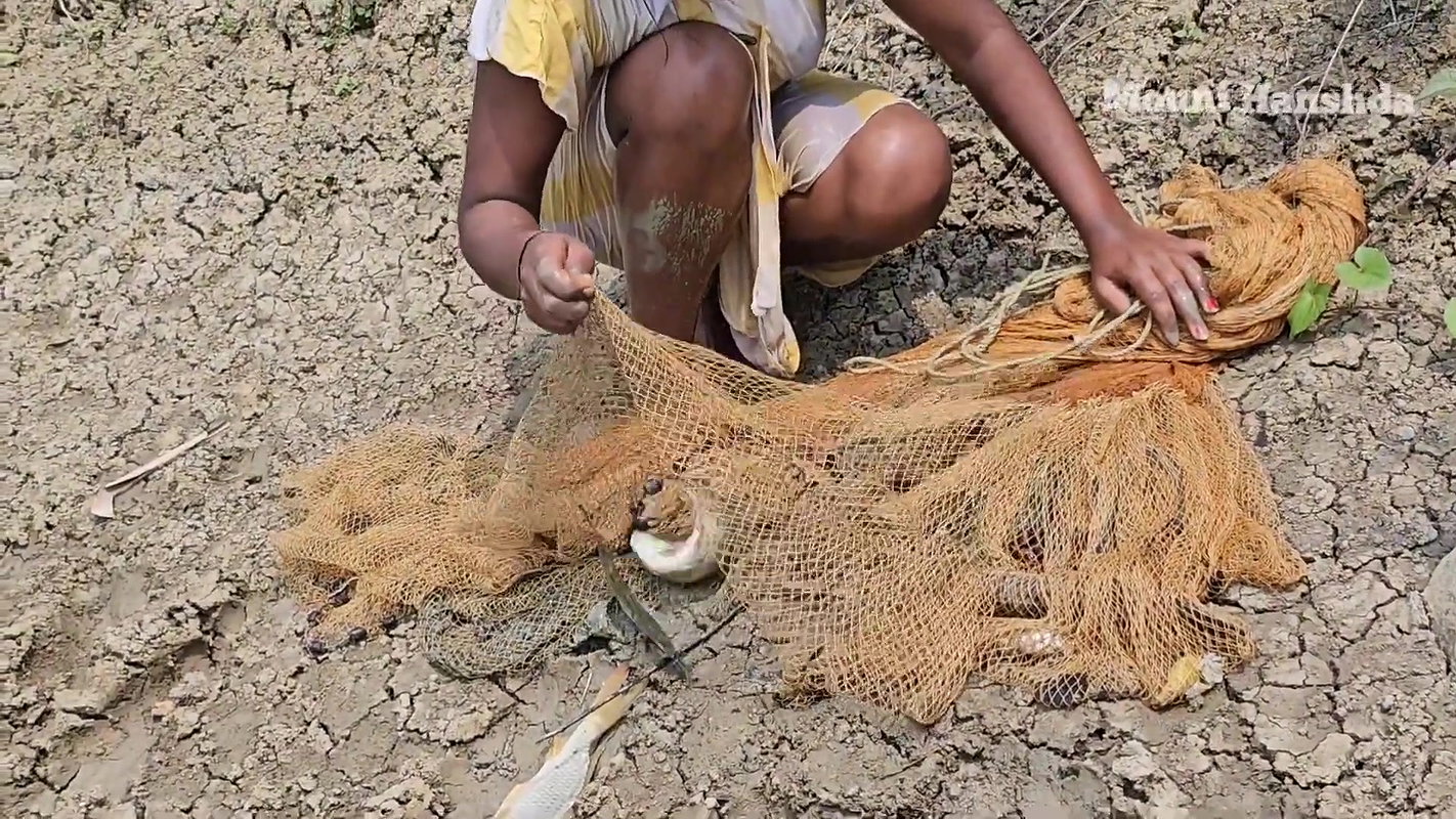Amazing Village Lady Mouni Net Fishing in Muddy Wa