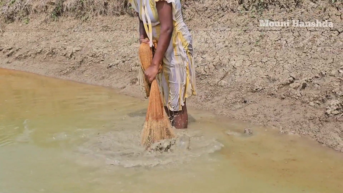 Amazing Village Lady Mouni Net Fishing in Muddy Wa