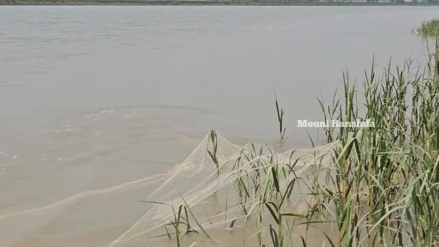 Amazing Village Lady Shore Fishing-d