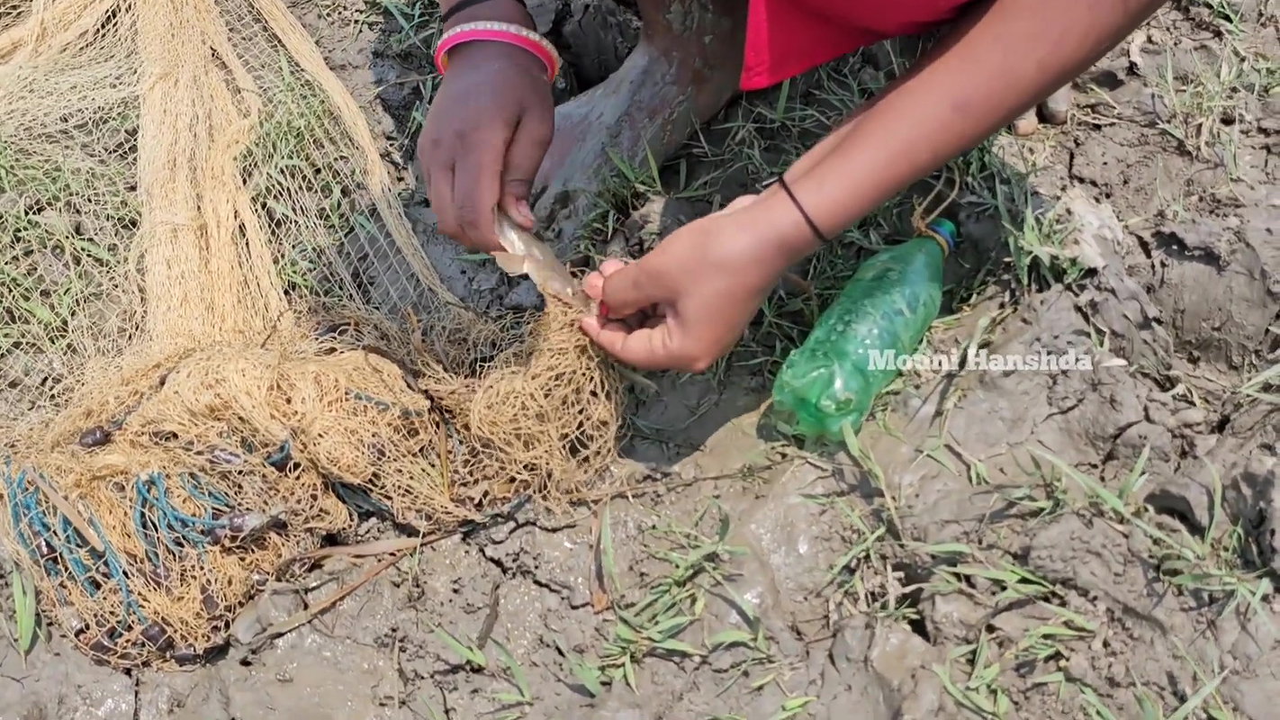 Amazing Village Lady Shore Fishing-d