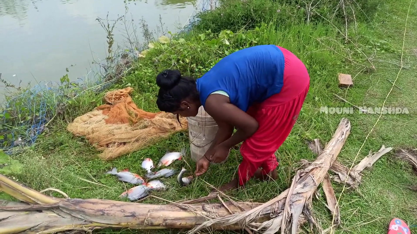 Amazing Village Net fishing video-da