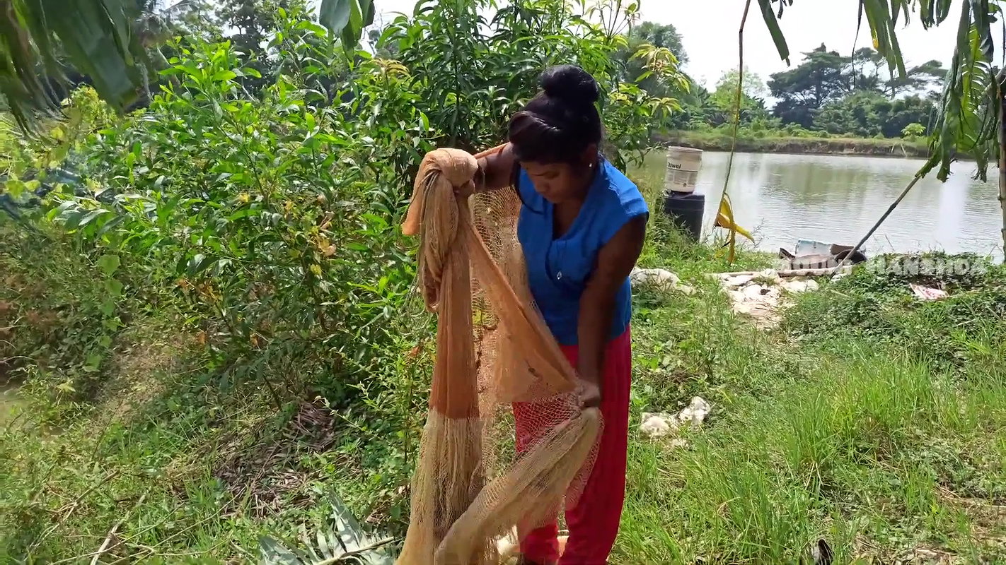Amazing Village Net fishing video-da