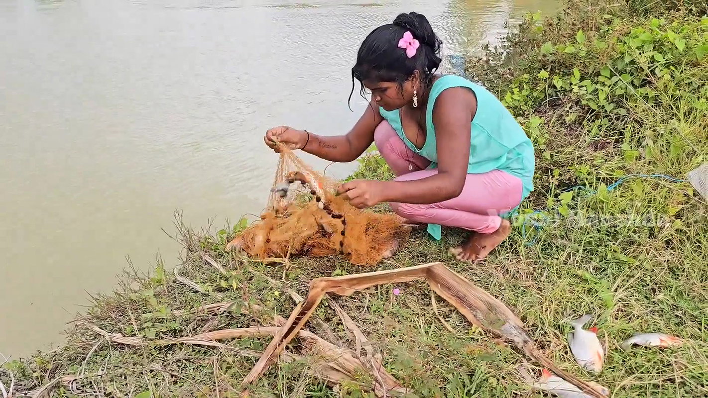 Amazing Village Net fishing video