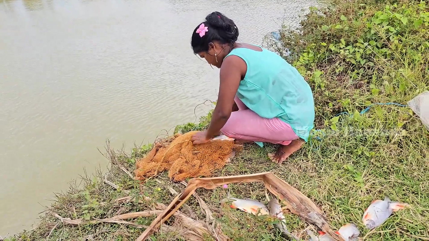 Amazing Village Net fishing video