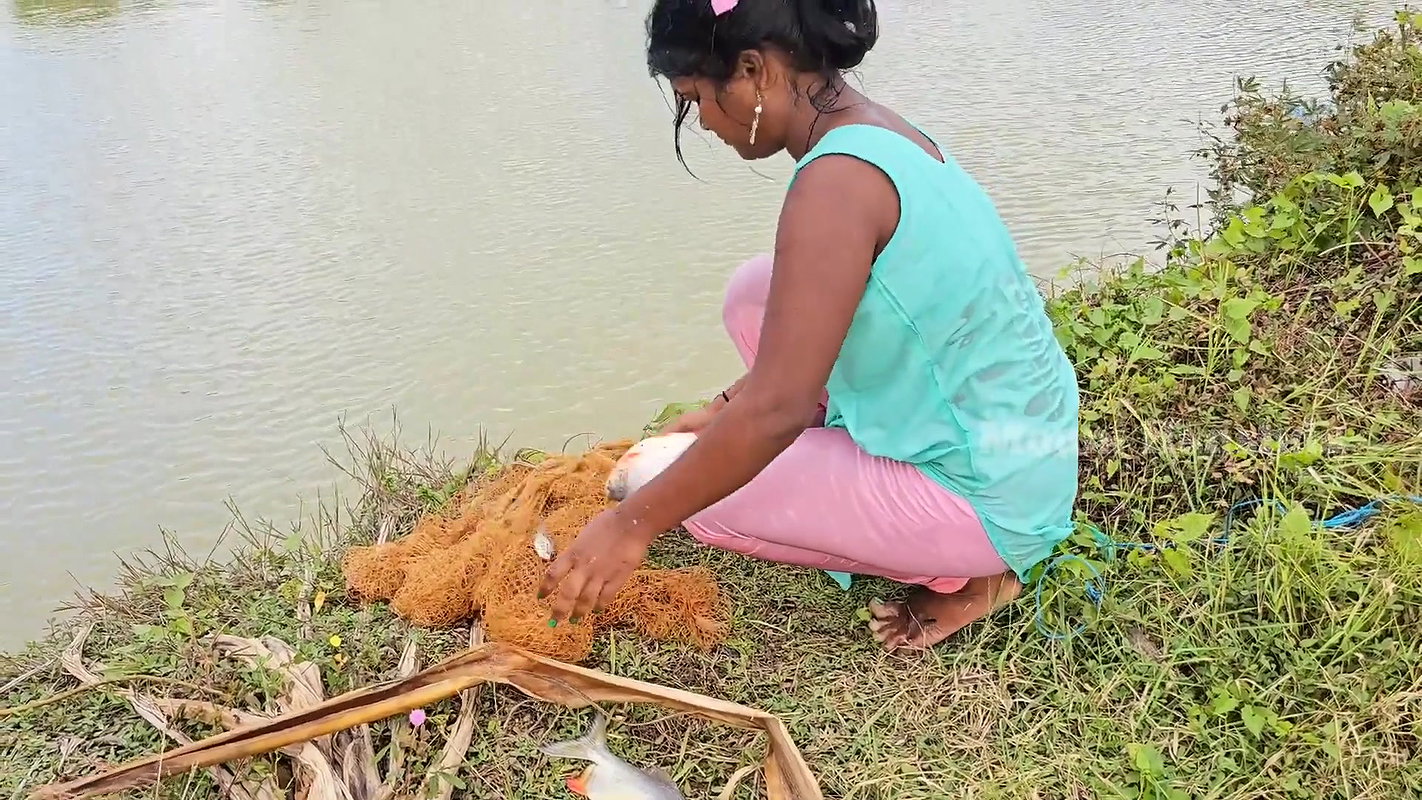 Amazing Village Net fishing video