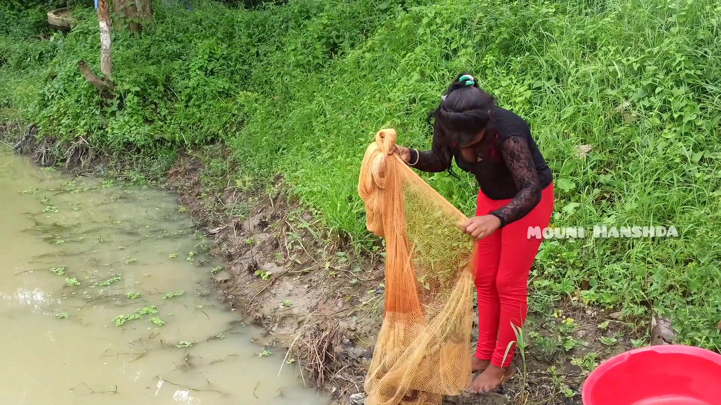 Amazing Village Women fishing Big Net Fish