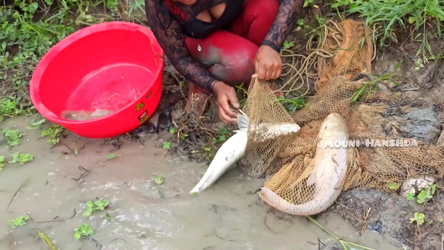 Amazing Village Women fishing Big Net Fish
