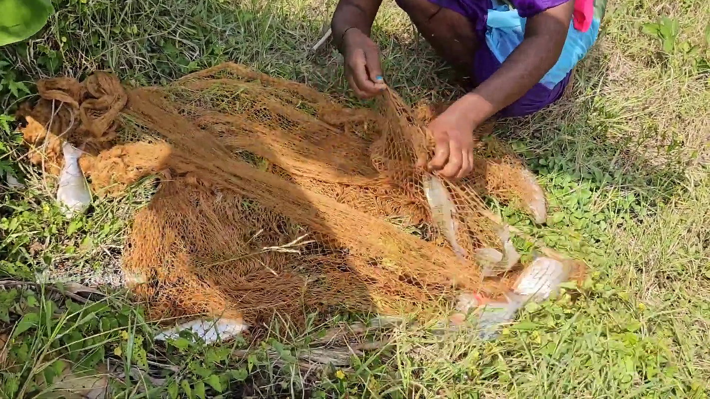 Amazing Village Women Fishing video