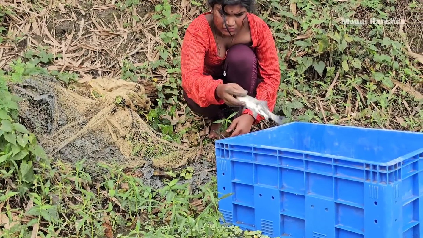x  Amazing Village Women incredible Net fishing