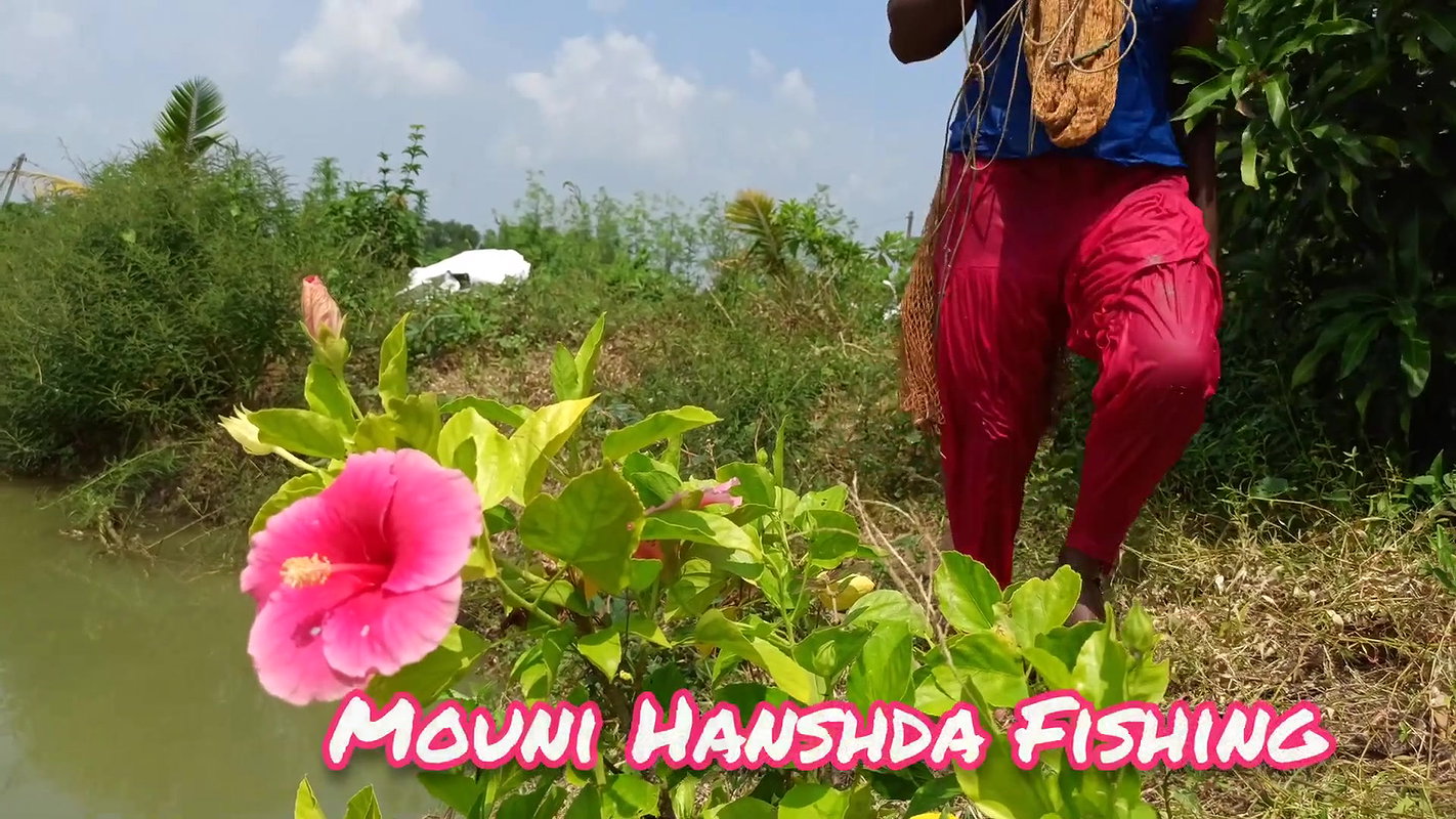 x Amazing Village Women Net Fishing  Video