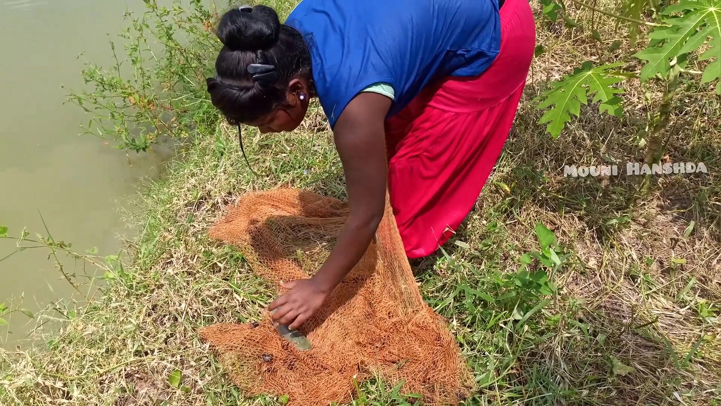 x Amazing Village Women Net Fishing  Video