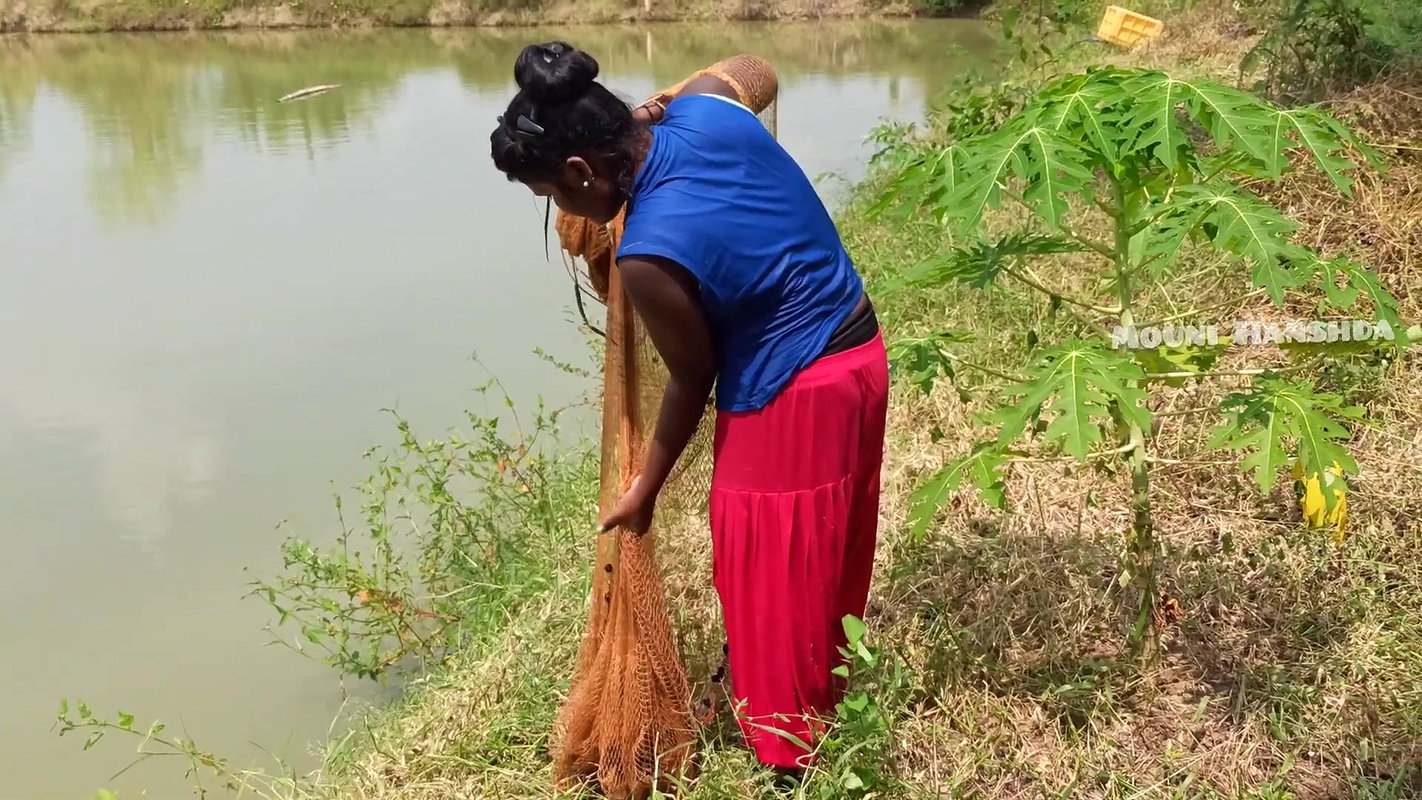 x Amazing Village Women Net Fishing  Video