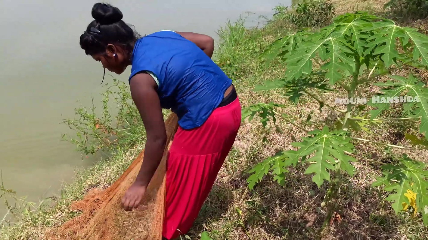 x Amazing Village Women Net Fishing  Video