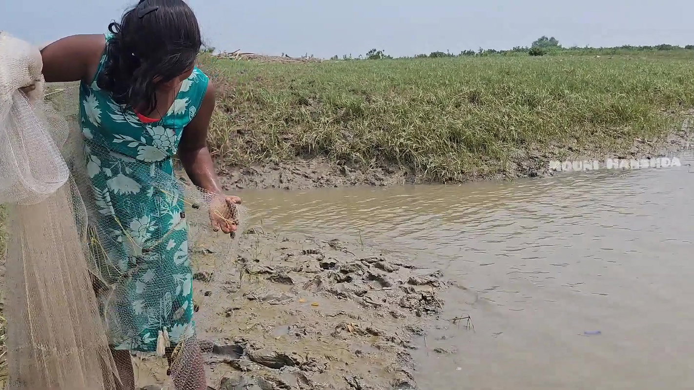 Amazing Village Women Net Fishing in Bay of Bengal