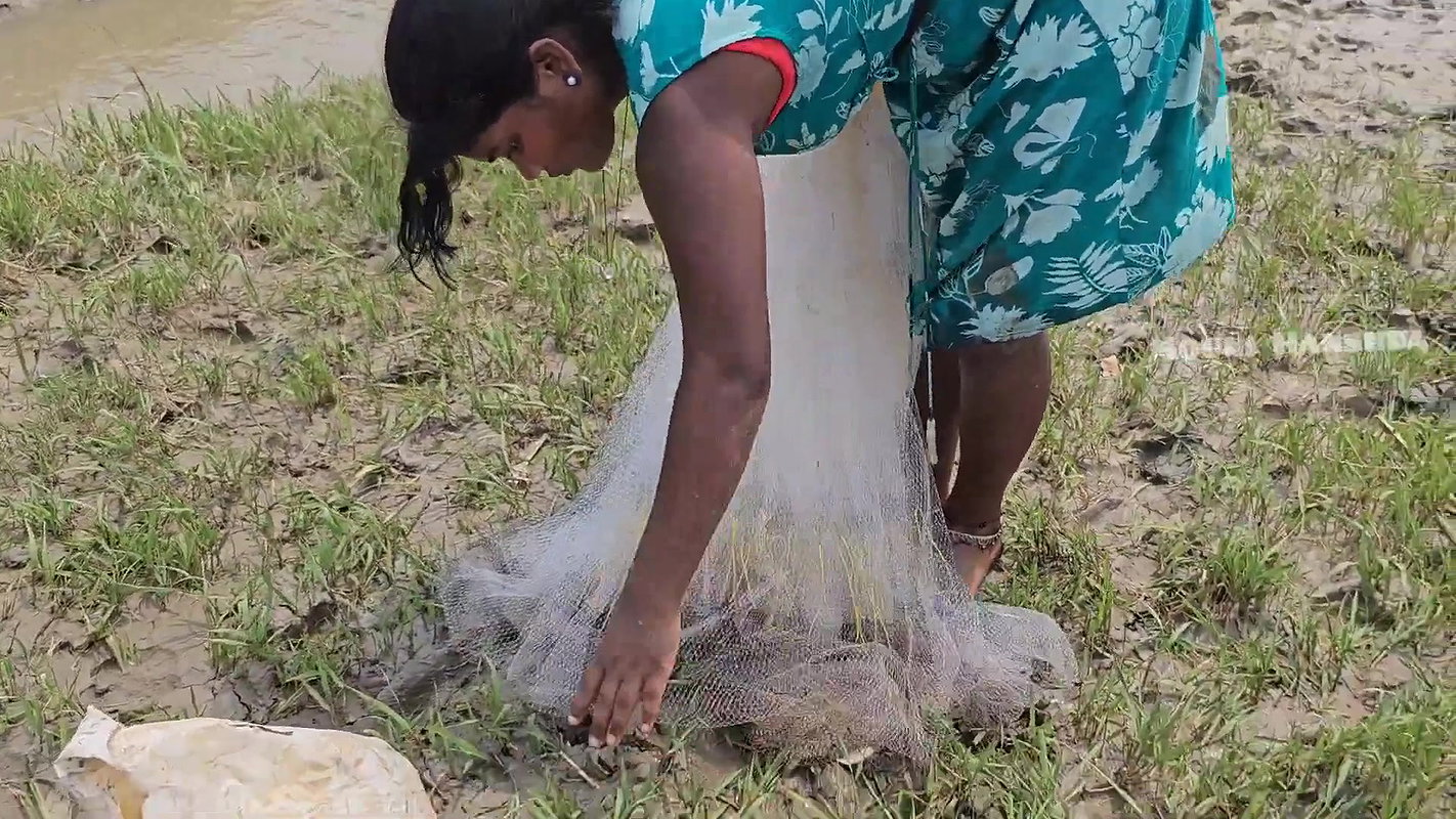 Amazing Village Women Net Fishing in Bay of Bengal