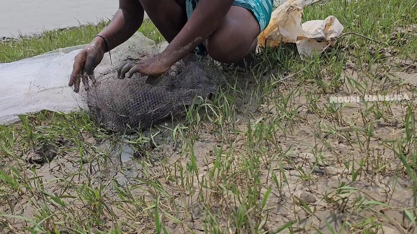 Amazing Village Women Net Fishing in Bay of Bengal
