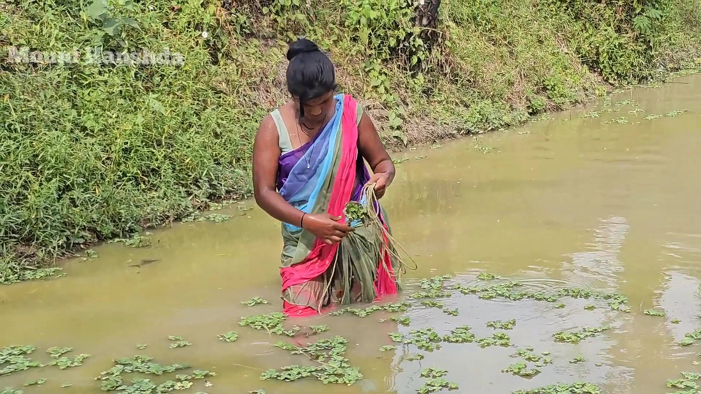 Amazing Village Women Net Fishing