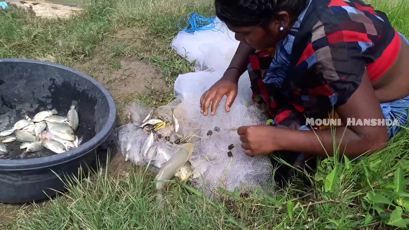 Amazing Village women net fishing-da
