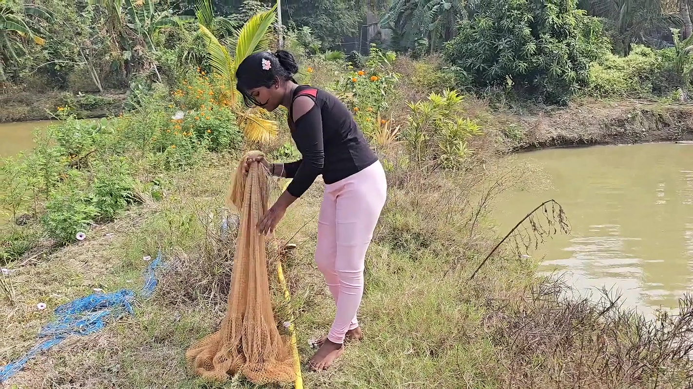 Bengali girl net fishing in Village pond