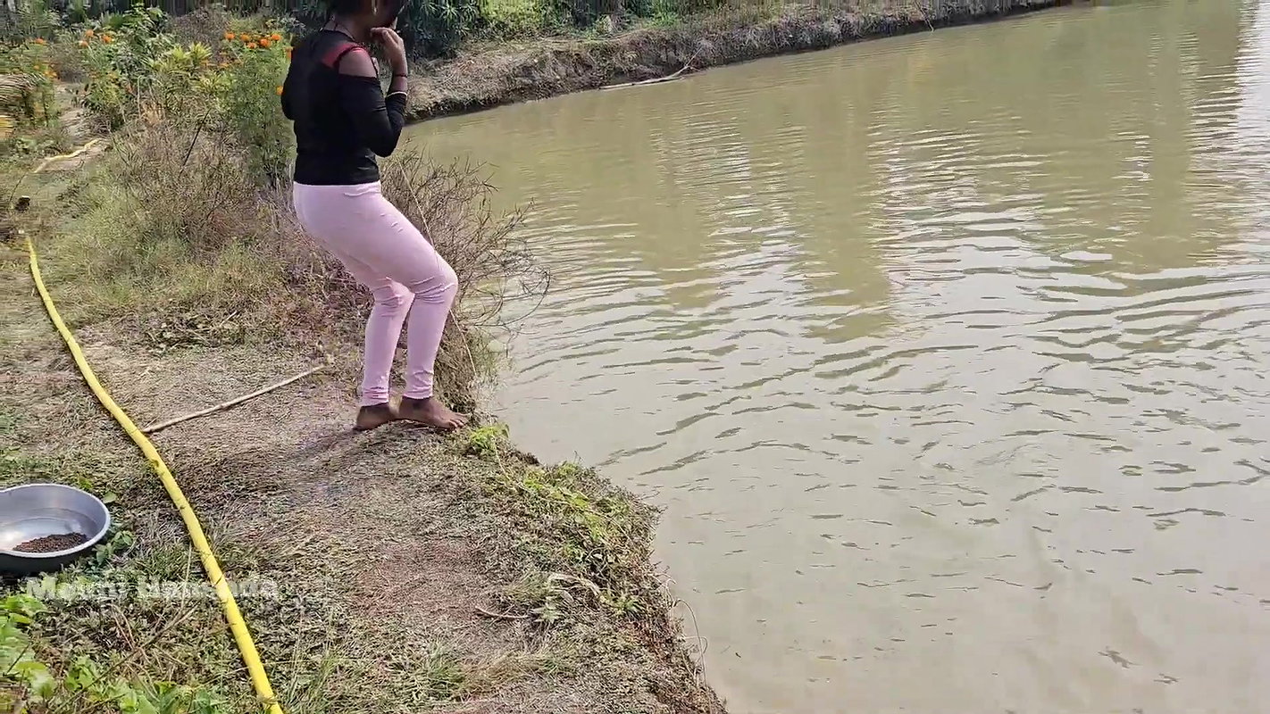 Bengali girl net fishing in Village pond