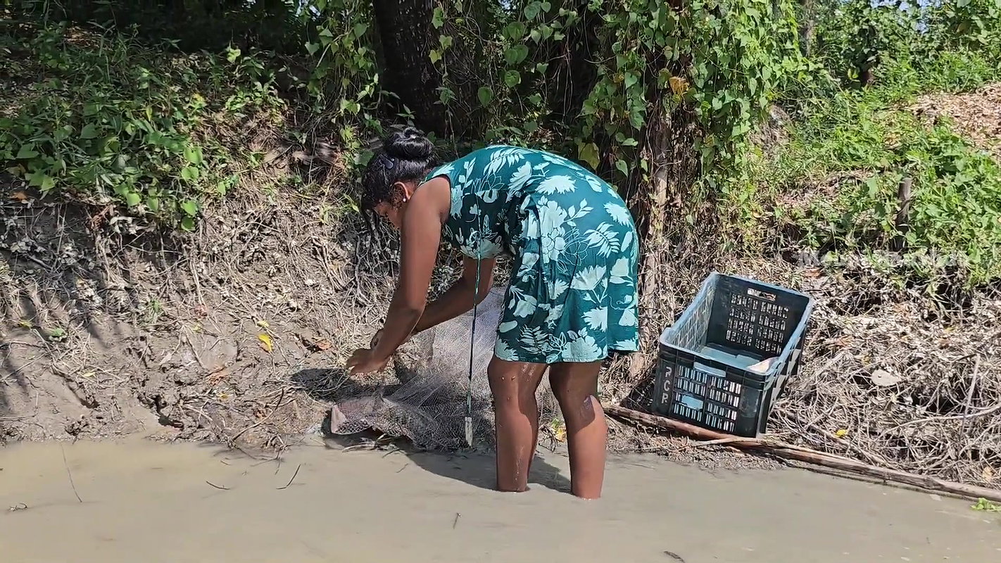 x  Best Indian women Net Fishing video-