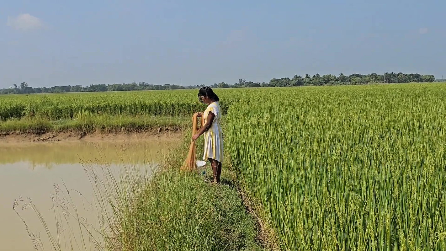 Best Net casting Fishing video