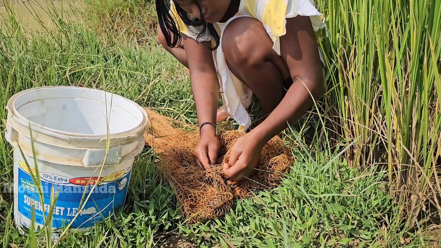 Best Net casting Fishing video