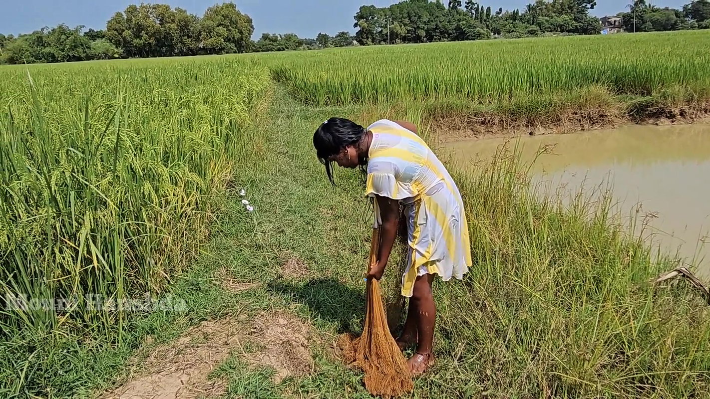 Best Net casting Fishing video