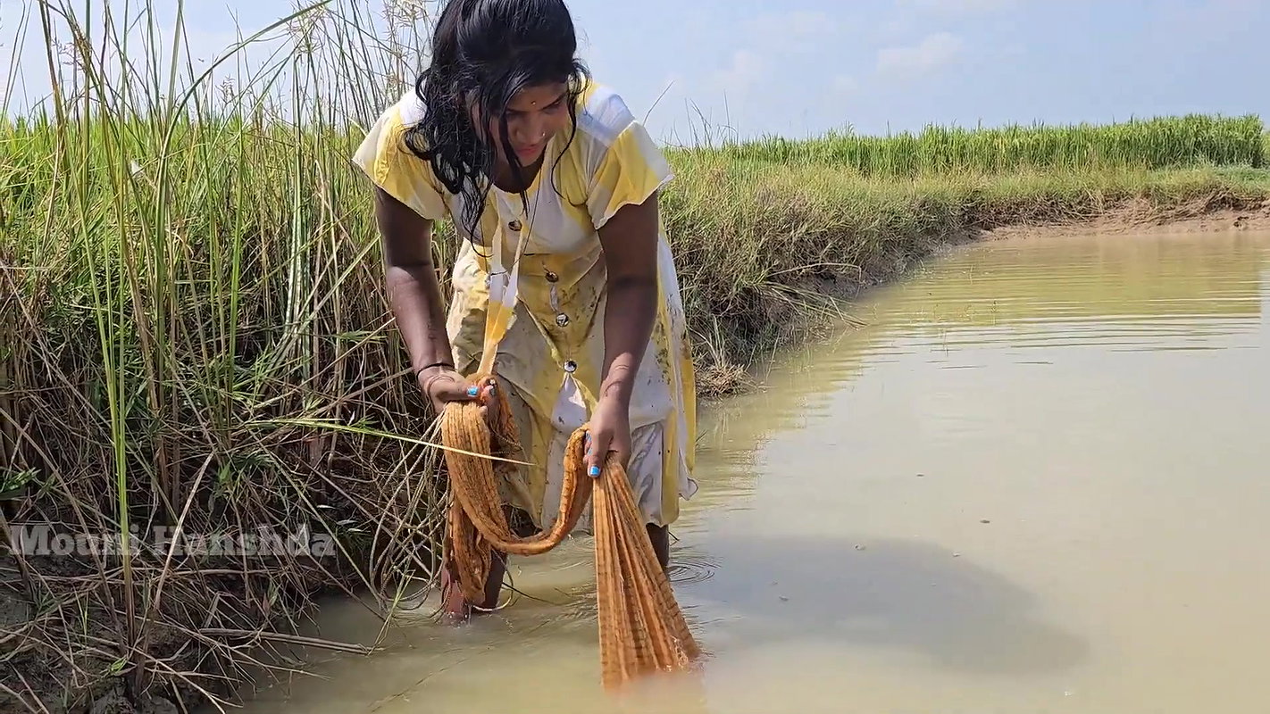 Best Net casting Fishing video