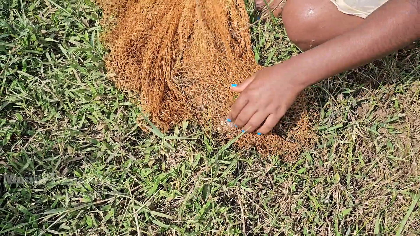 Best Net casting Fishing video