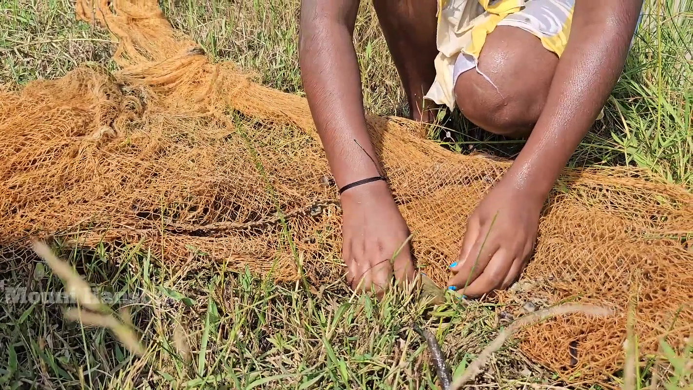 Best Net casting Fishing video