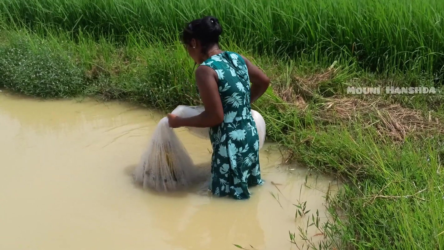 x Best village girl net fishing video