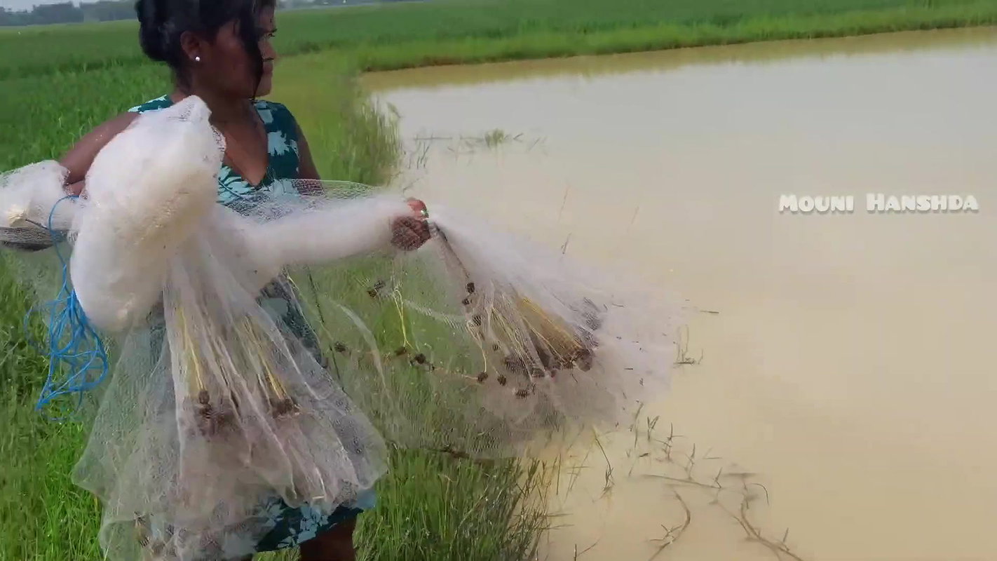 x Best village girl net fishing video