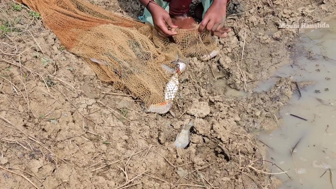 Incredible Village Women net fishing in Pon