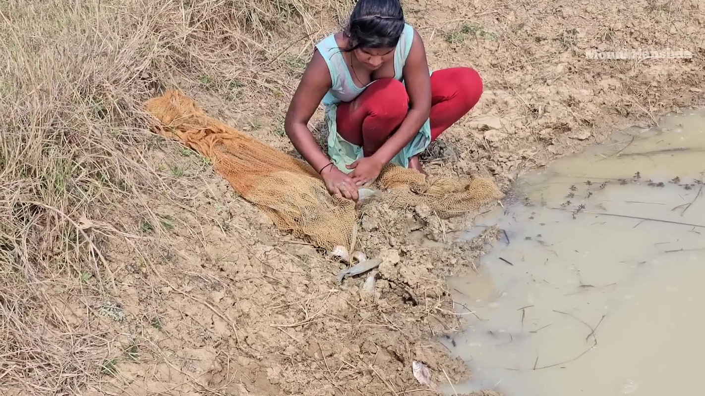 Incredible Village Women net fishing in Pon