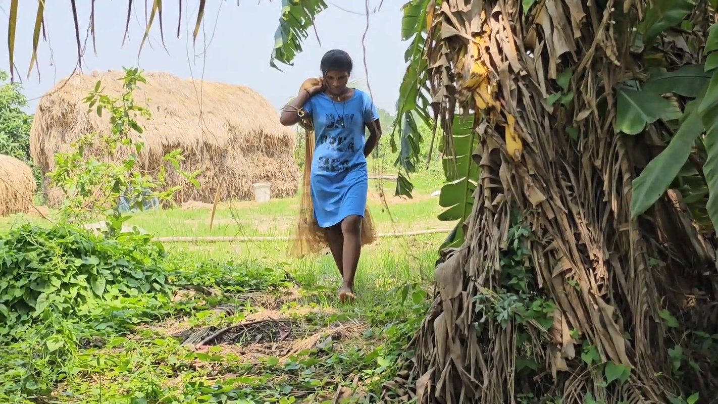 Mouni Hanshda incredible Net fishing in Village po