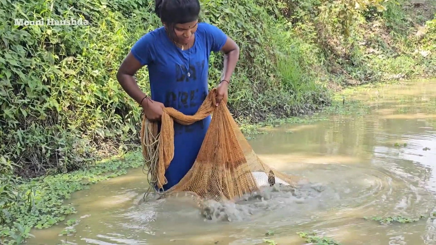 Mouni Hanshda incredible Net fishing in Village po