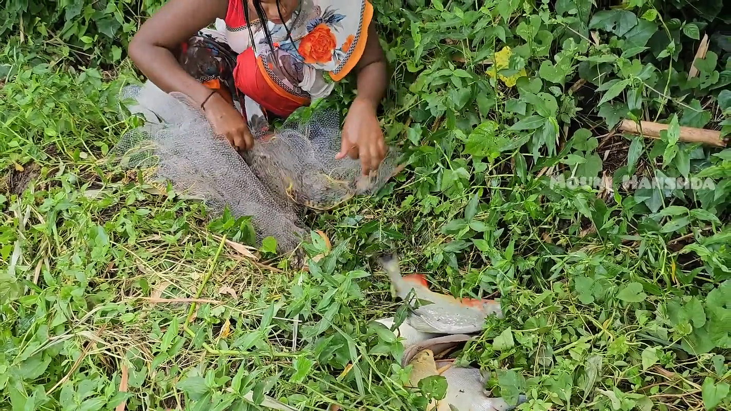 Mouni Hanshda Village Net Fishing video