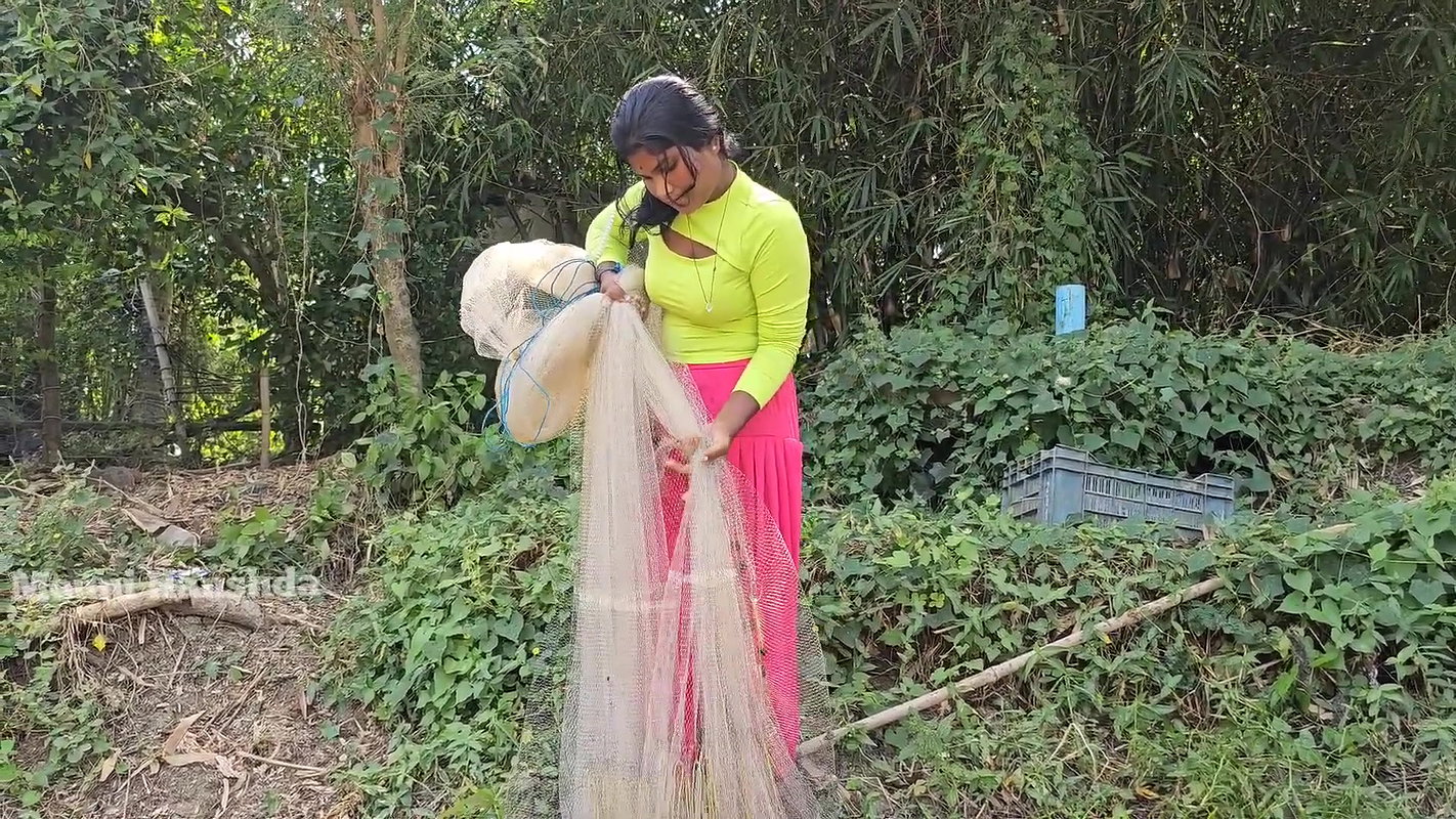 New Amazing Village Girl Net Fishing video