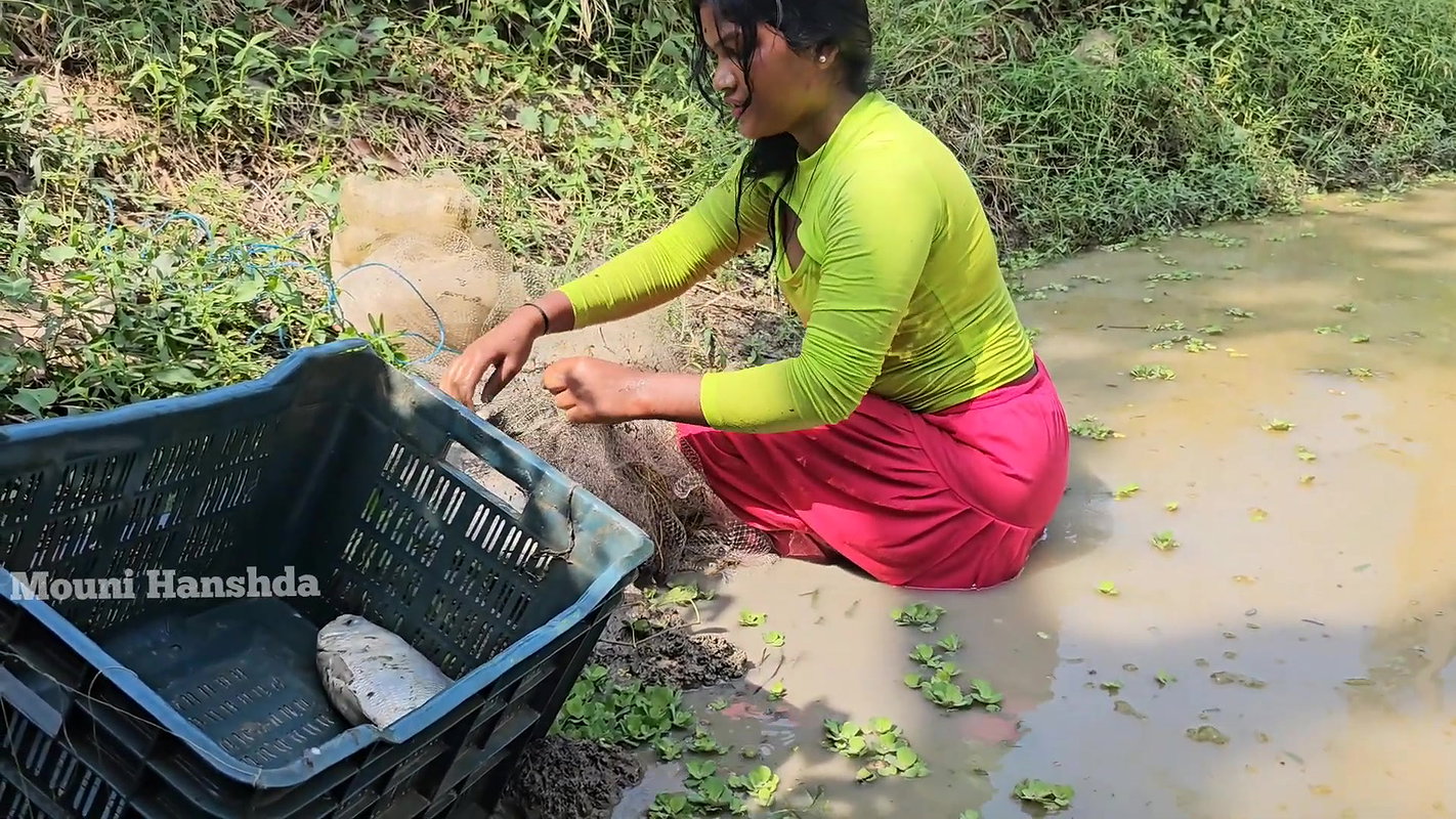 New Amazing Village Girl Net Fishing video