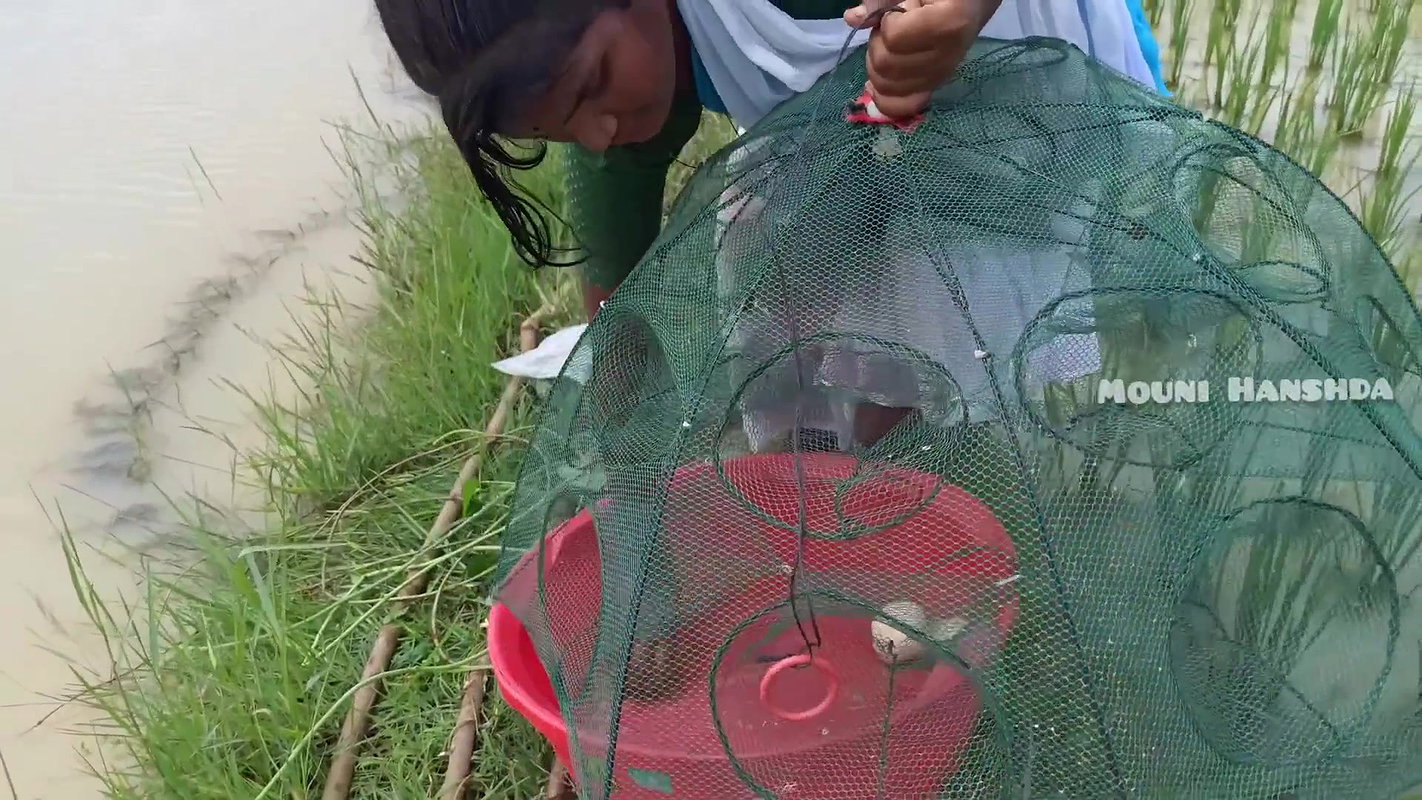 x New Amazon trap net fishing-da