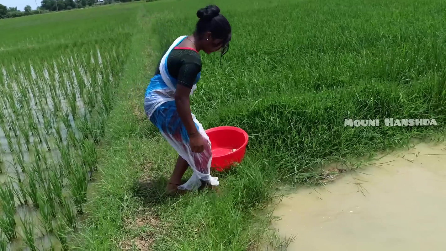 x New Amazon trap net fishing-da