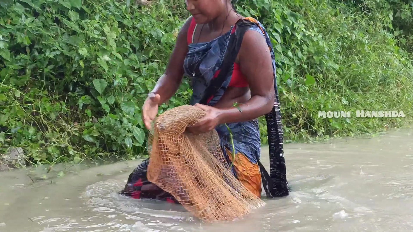 Village women caught Big barramundi Fis
