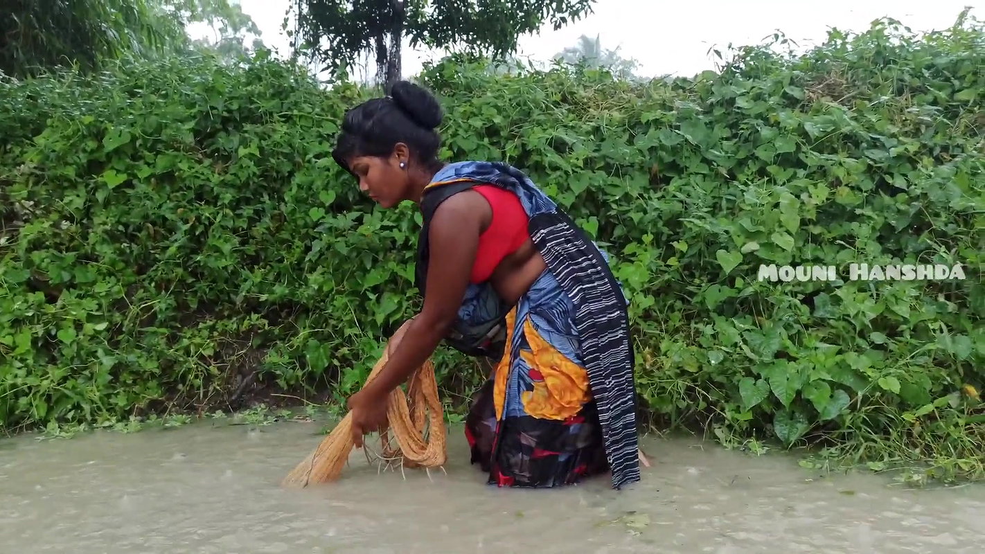 Village women caught Big barramundi Fis
