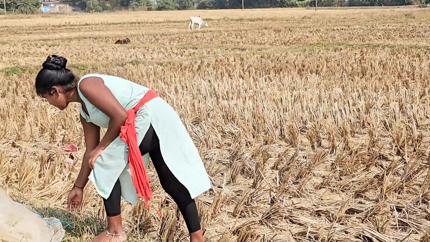 Village wife fishing video 4