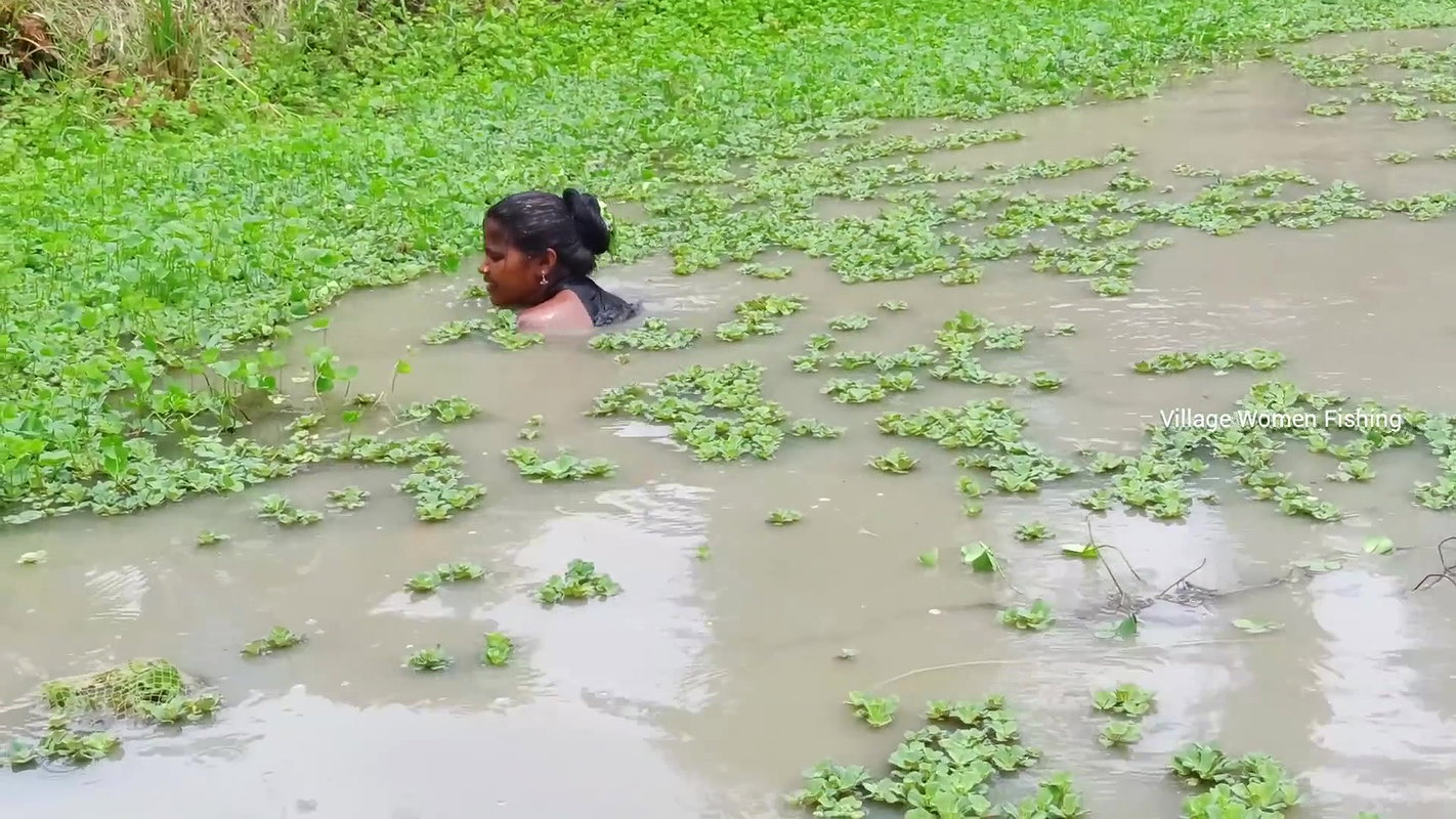Amaxing Village women fishing Video   Best village