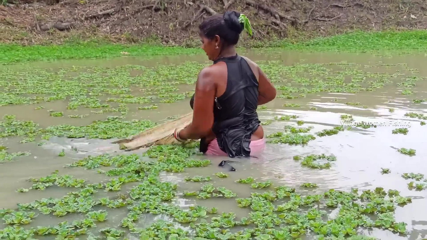Amaxing Village women fishing Video   Best village