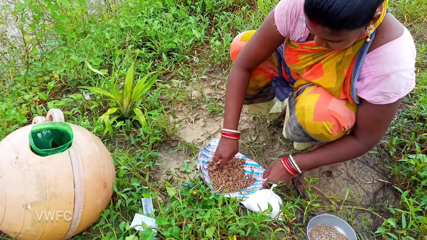 x  Amazing  Old Money saving Ball fishing  গ্রামের মহ