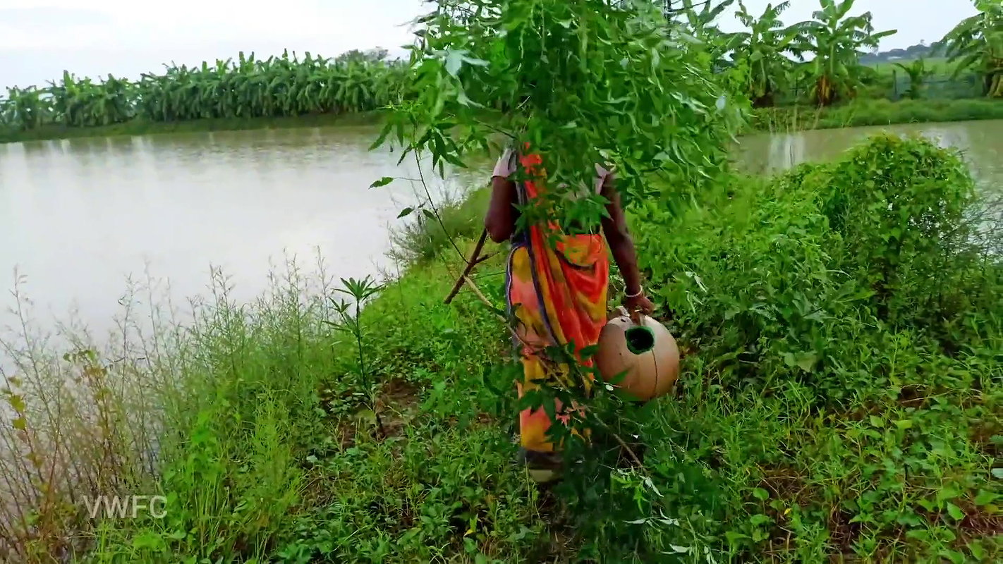 x  Amazing  Old Money saving Ball fishing  গ্রামের মহ